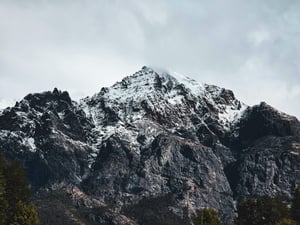 pexels-obradebelu-33714453 (1) (1)