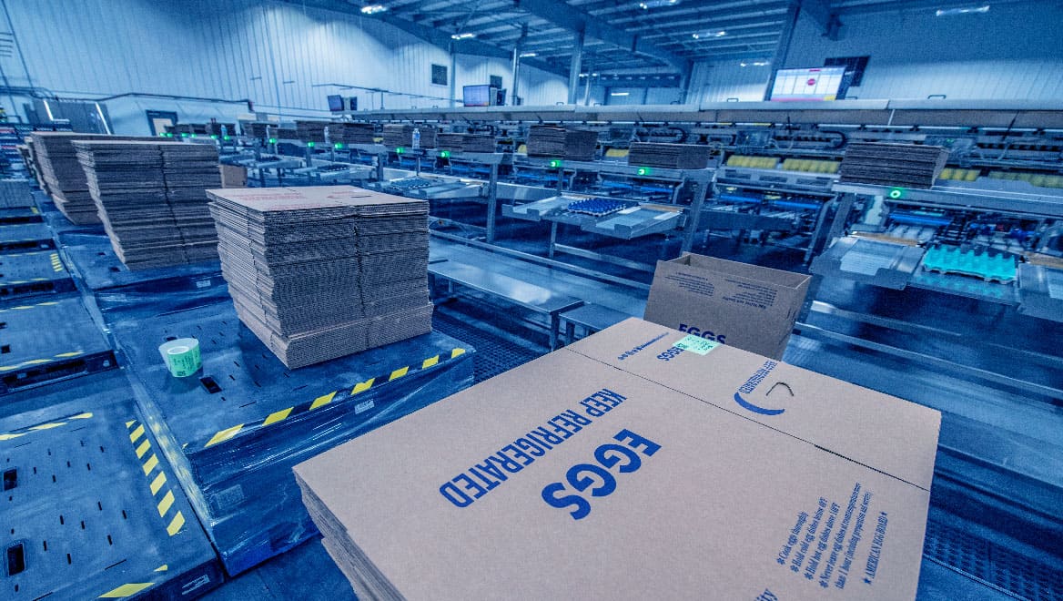 Lean logistics: Cuándo aplicarlo y cuando no